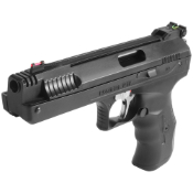 Beeman 2004 .177 Caliber Single-Stroke Pneumatic Gun