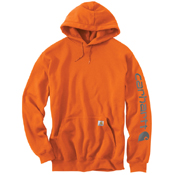 Loose Fit Midweight Logo Sleeve Graphic Sweatshirt