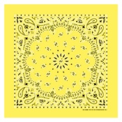 Trainmen Paisley Bandana