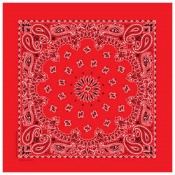 Trainmen Paisley Bandana