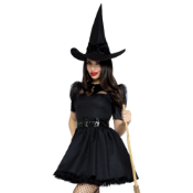Bewitching Witch Costume