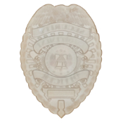 Flexible Security Badge