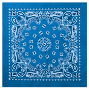 Trainmen Bandana