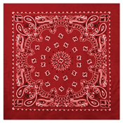 Trainmen Bandana