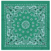 Trainmen Bandana