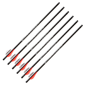 Umarex AirJavelin 6 Piece Arrow