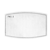 Replacement PM2.5 Filter - 5Pack 